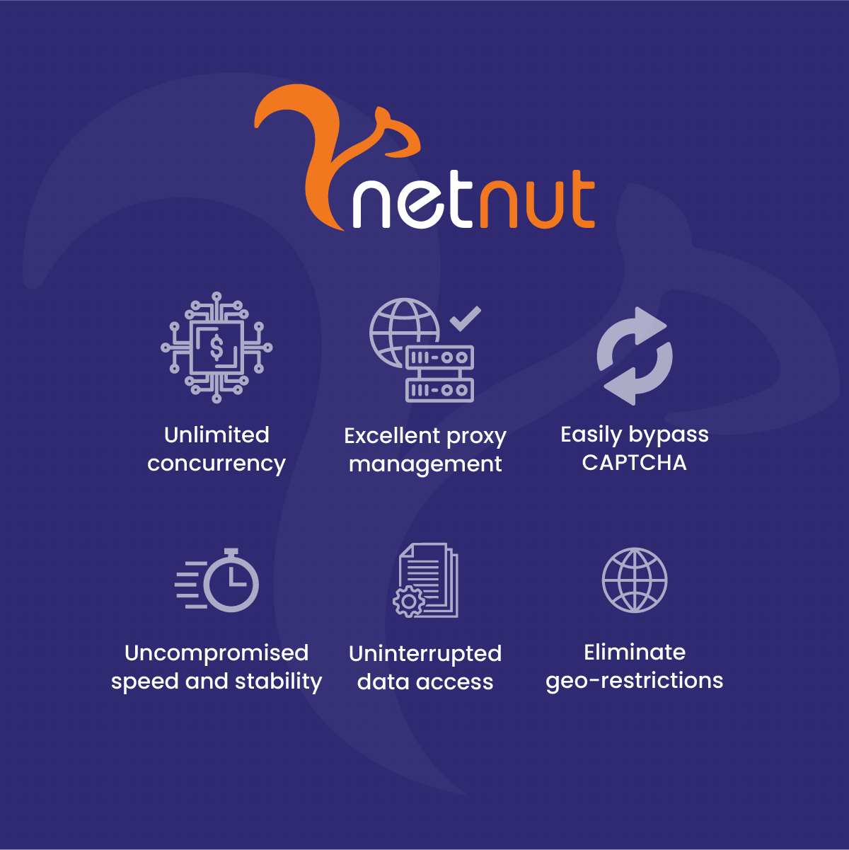 Unlock the Power of Proxies with NetNut