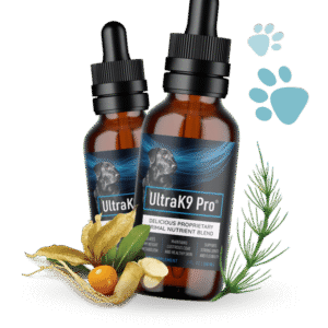UltraK9 Pro Reviews: The Ultimate Primal Nutrient Formula for Canine Vitality?