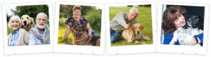 Is Your Dog Missing Its Spark? How to Improve Dog Vitality with Primal Nutrients