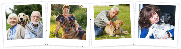 UltraK9 Pro Reviews: The Ultimate Primal Nutrient Formula for Canine Vitality? - Image 6