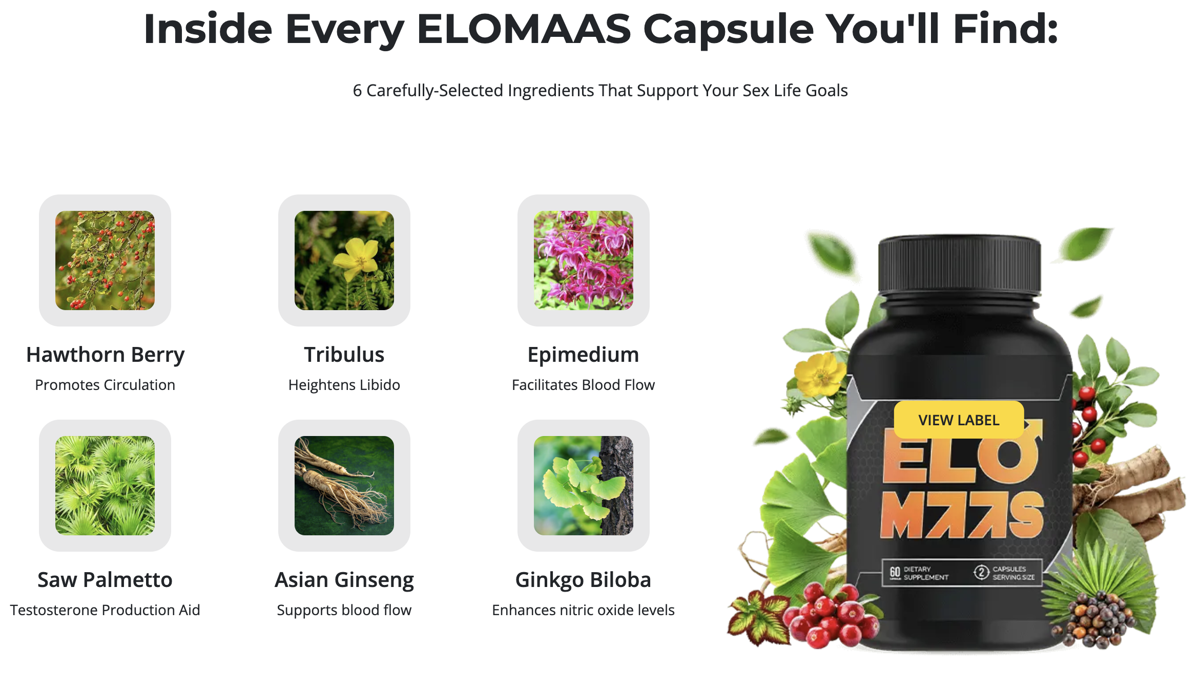 EloMaas Male Vitality Supplement - 90 Day Money-Back Guarantee - Image 6